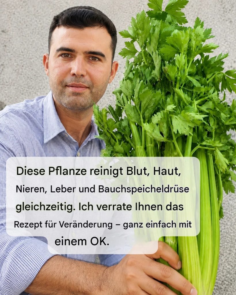 Selleriesaft zur Reinigung von Nieren, Leber und Lunge